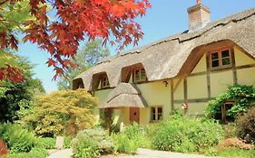 The Cottage, Beautiful New Forest 5 Bedroom Thatched Cottage